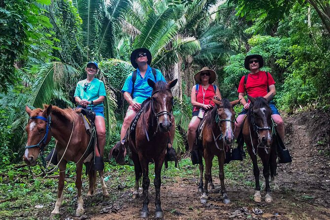 Horseback Riding + West End + Choco Factory + West Bay Day Pass @ Paradise Beach - West End Village Exploration