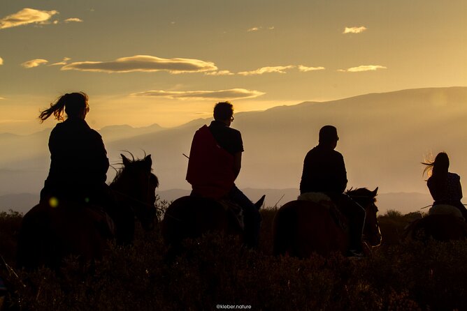 Horseback Riding With Traditional Asado and Wine From Mendoza - Reviews and Feedback