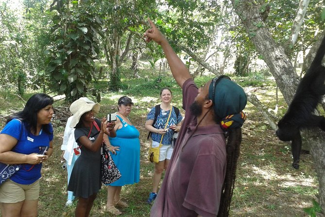 Howler Monkey Sanctuary and Kukumba Beach From Belize City - Exploring the Howler Monkey Sanctuary