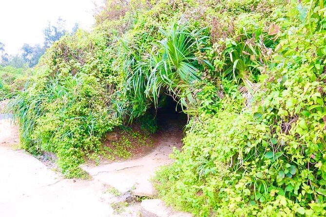 Hue to Phong Nha Cave Sightseeing Vinh Moc Tunnel DMZ - Pricing and Inclusions