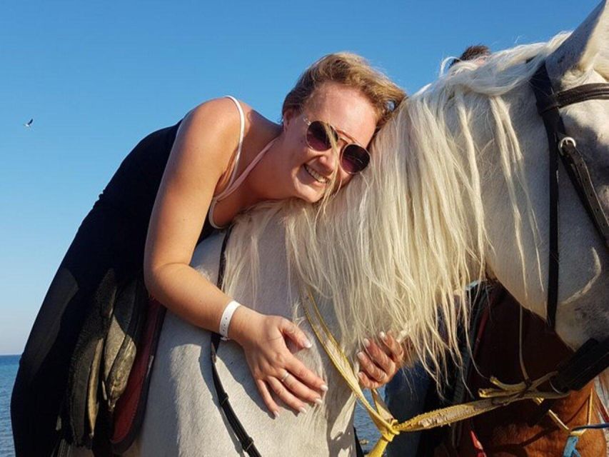 Hurghada: Desert and Sea Horseback Riding Tour With Transfer - Transportation Information