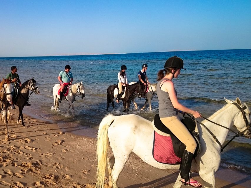 Hurghada: Sunset Sea, Desert Horse W Opt, Dinner, Stargazing - Inclusions and Additional Options