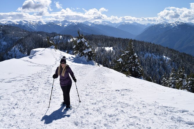 Hurricane Ridge Guided Snowshoe Tour in Olympic National Park - Tour Schedule