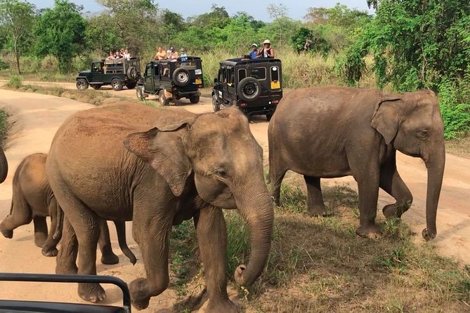 Hurulu Eco Park Private Safari - Booking Your Safari