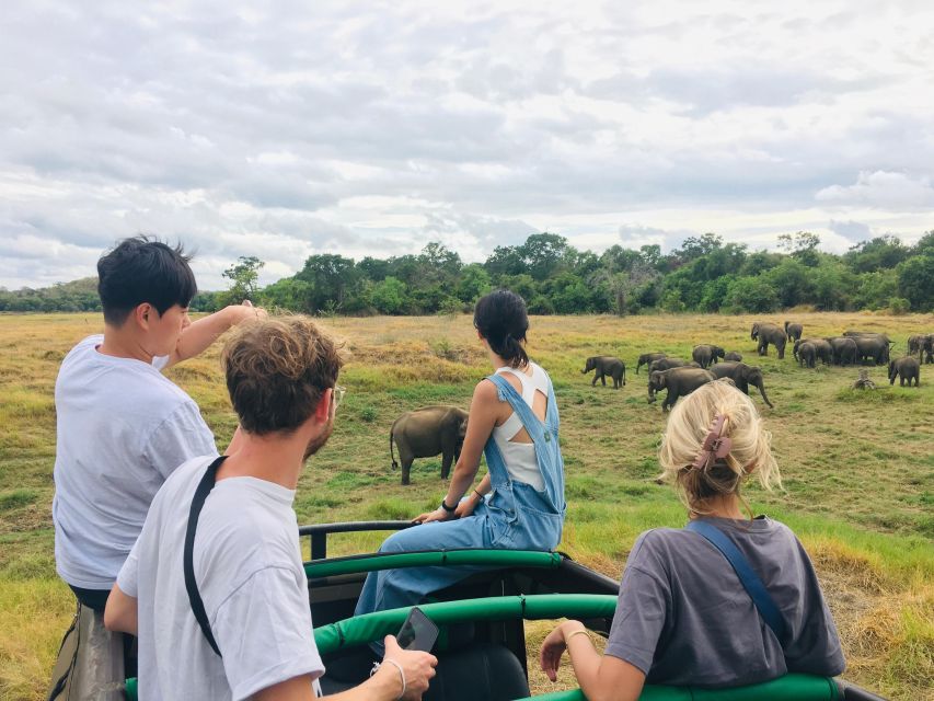 Hurulu National Park Safari Minneriya - Elephant Safari Experience