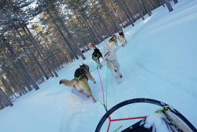 Husky Safari - Booking and Cancellation Policies