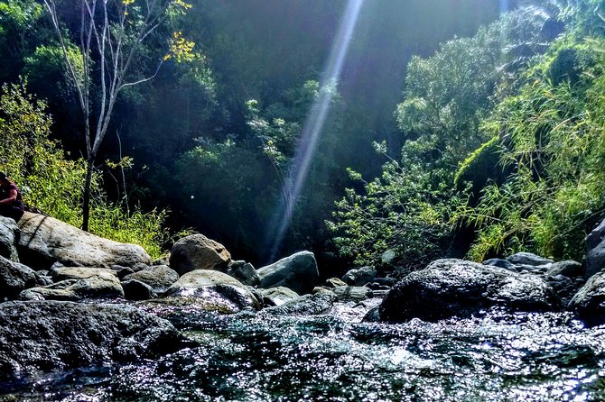 Iao Needle Gardens Streams Rainforest Walk & Bg Green Seaturtles - Discovering Iao Valley State Monument