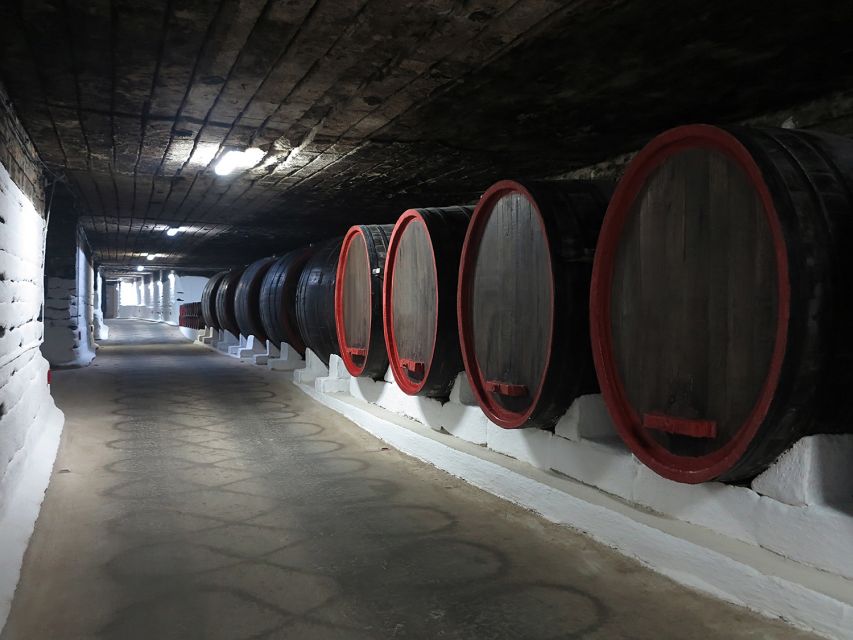 Iasi: Cricova Winery, Chisinau City Tour and Capriana - Capriana Monastery Visit