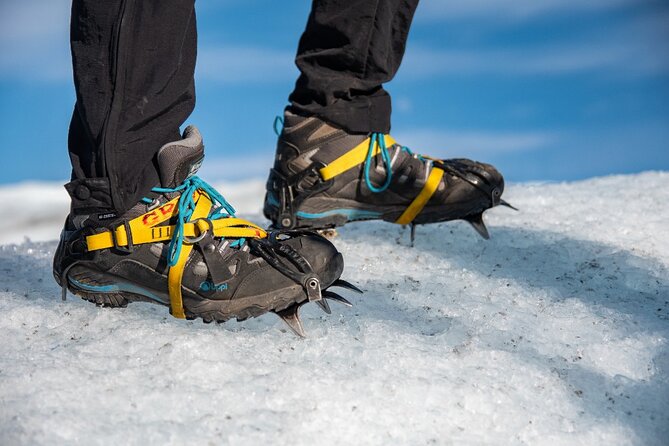 Ice Hike on Grey Glacier - Booking and Capacity
