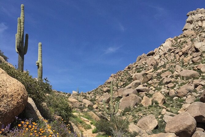 Iconic Toms Thumb Guided Hiking Adventure in Scottsdale, Arizona - Whats Included in the Tour
