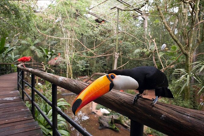 Iguassu Falls Private Tours - Customizable Itineraries