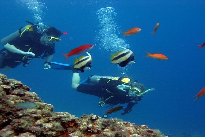 Intro Scuba Diving Beginners Full Day Boat Trip 2 Stops Diving & Lunch– Hurghada - Diving Equipment Provided