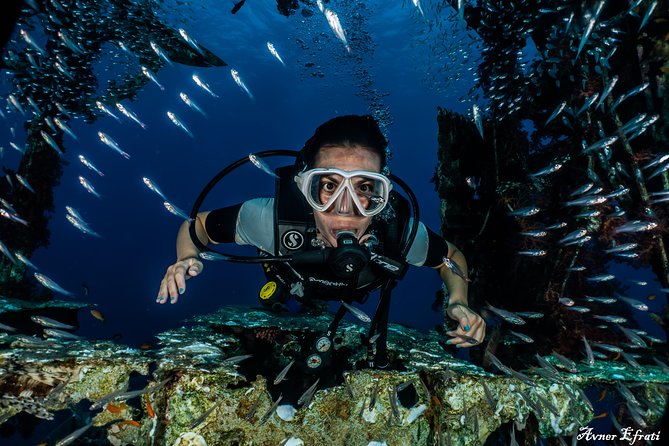 Introduction Diving at Coral Reef With Instructor - 40 Minutes - Meeting and Equipment Details