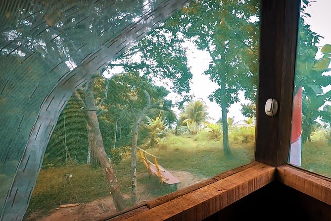 Iquitos in the Jungle 2 Days -1 Night - Tour Conditions
