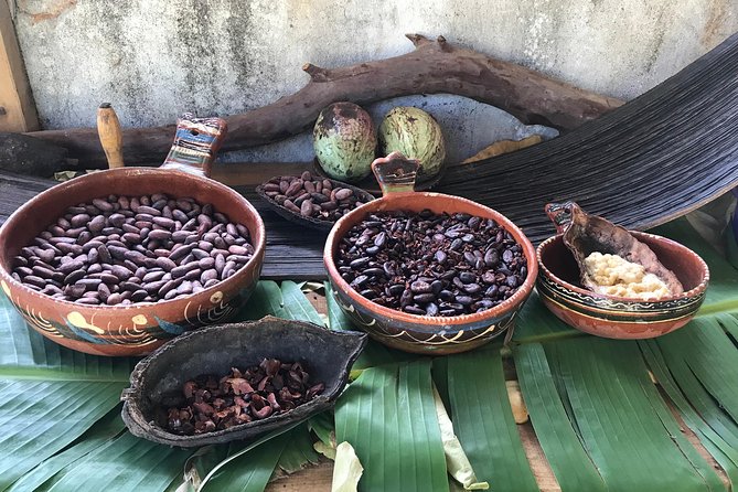 Island Tour/Monkeys and Sloth Park/Chocolate & Rum Factory/Beach - Meeting and Pickup Information