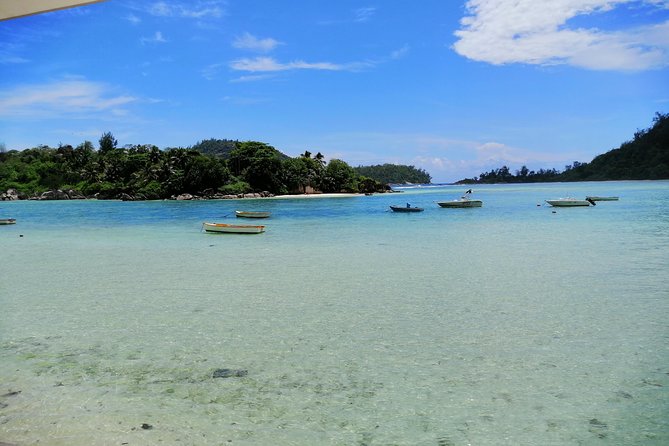 Island Tour With the Beach Buggy - Customer Experiences