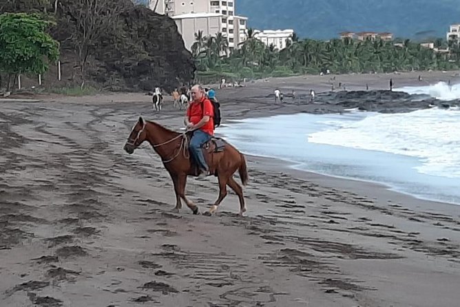 Jacó Beach Horseback Riding Experience - Pickup and Transportation Arrangements