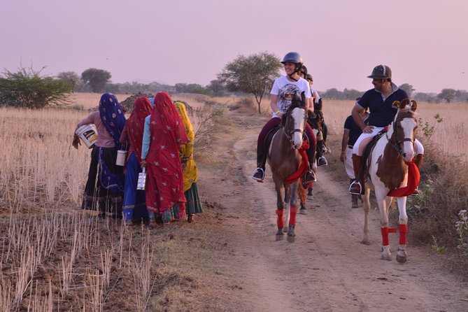 Jaipur Horse Riding Adventure - Tips for Riders