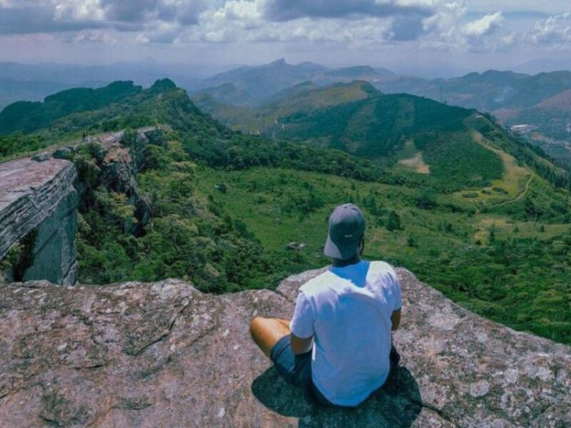 James Taylors Enchanting Tea Story Tour From Kandy - Itinerary Highlights