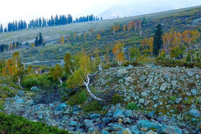 Jammu & Kashmir Valley Tour - Best Time to Visit