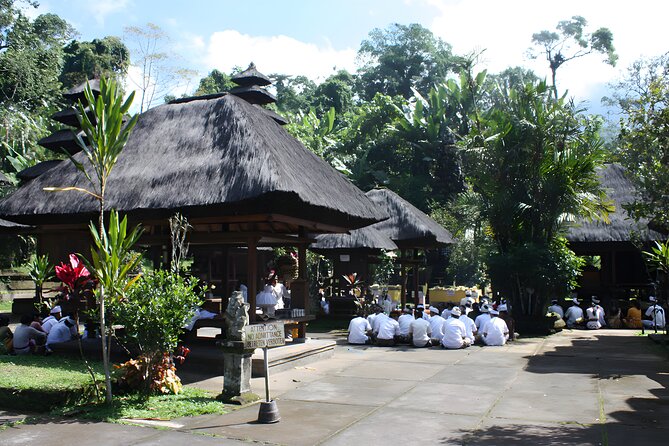 Jatiluwih VW Safari Bali Tour - Volkswagen Classic Car Trip - Tips for an Enjoyable Trip