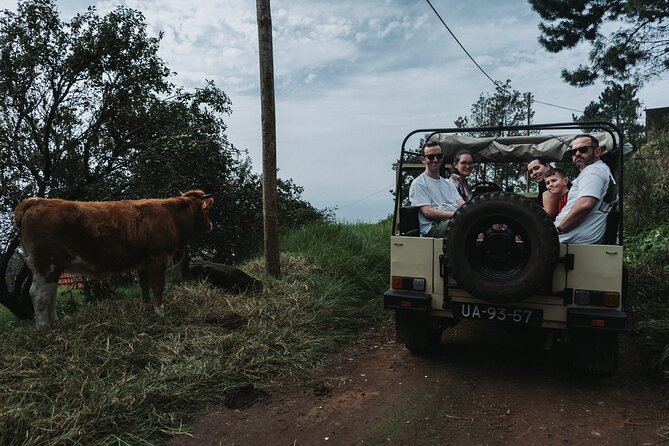 Jeep Tour To Northwest,( Porto Moniz, Seixal) - Tour Experience