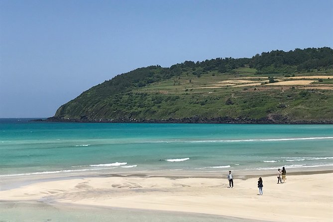 Jeju Island Guided Tour for 9 Hours With a Van - Tour Schedule Details