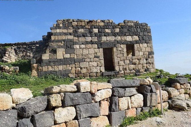 Jerash, Ajloun, and Umm Quais Full-Day Tour - Inclusions and Exclusions