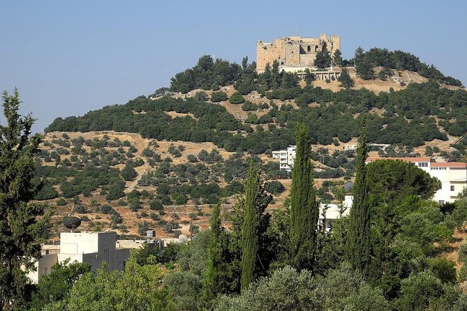 Jerash, Ajloun, Umm Qais Day Trip - Discovering Umm Qais