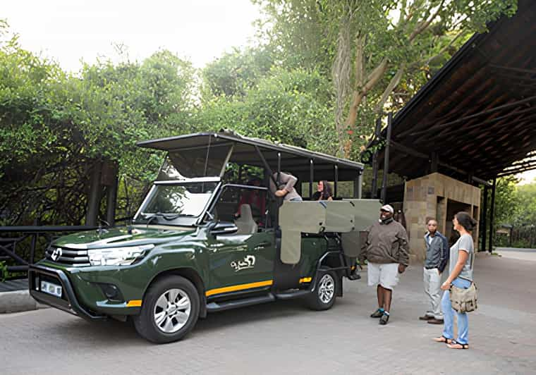 Journey Through Kruger - Safari Accommodations