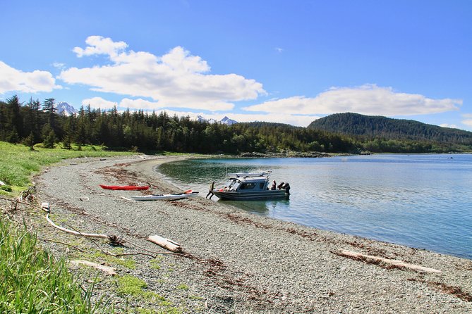 Juneau Shore Excursion: Paddle With Whales! Kayak Adventure - Meeting Location