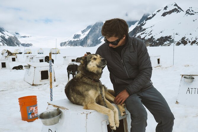 Juneau Shore Excursions: Helicopter Dogsledding Experience and Additional Glacier Landing - Glacier Walk Highlights