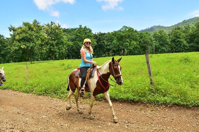 Jungle Horseback Riding + Chocolate Experience - Review Highlights