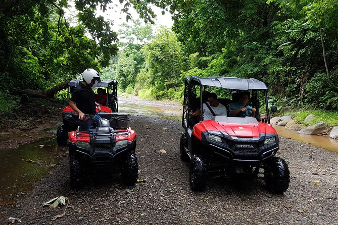 Jungle & River Buggy & Crocodile Tour. Puntarenas Shore Excursion - Wildlife Spotting Opportunities