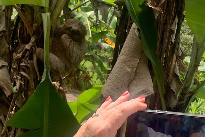Jungle River, Sloth Sanctuary and Poisonous Frogs. - Customer Feedback and Praise