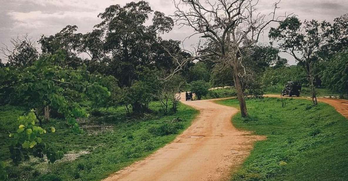 Jungle Trekking in Yala Buffer Zone From Hambantota Harbor - Highlights of the Experience