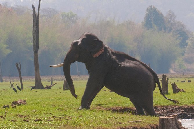 Kabini Nagarhole National Park From Bangalore - Transportation Details