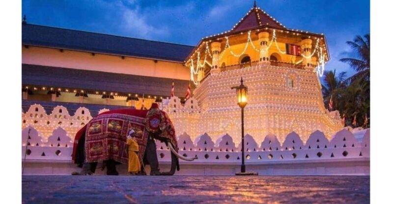 Kandy : City Tuk Tuk Day Tours (By Local Guide) - Guest Experience and Reviews