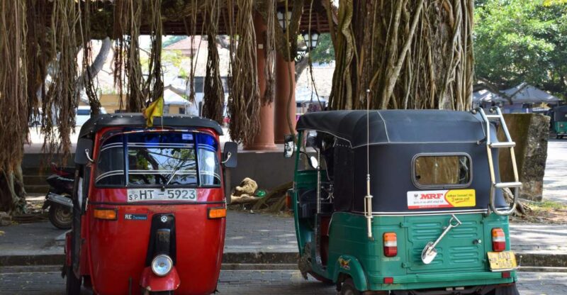 Kandy: Guided City Tour With Tuk Tuk Transfers - Tour Inclusions
