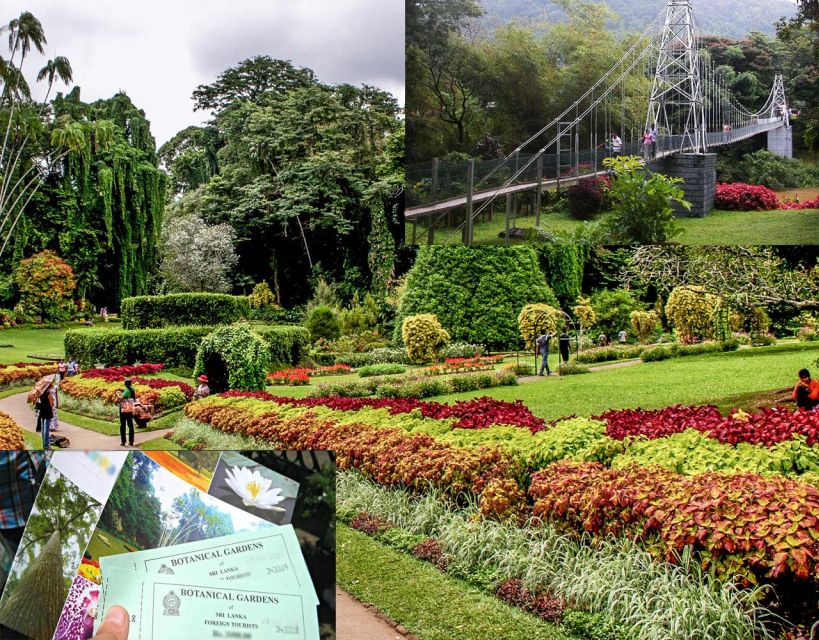 Kandy Royal Botanical Gardens Peradeniya By Tuk Sri Lanka - Cultural Experience