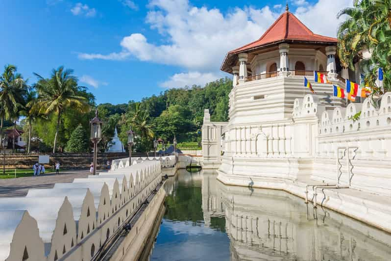 Kandy: Sightseeing City Tour and Pinnawala Day Tour - Itinerary Highlights