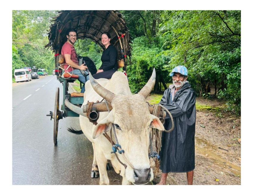 Kandy to Sigiriya Day Tours Tuk Tuk by Local - Key Attractions and Highlights