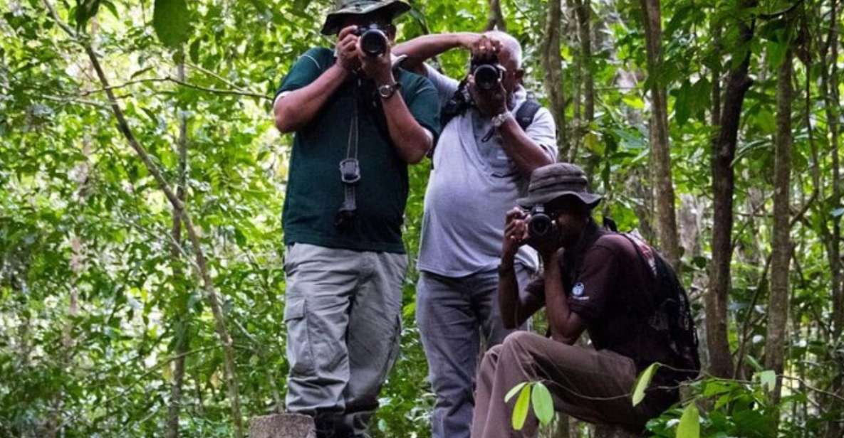 Kanneliya Forest Discovery: Guided Nature Expedition - Kanneliya Forest Reserve