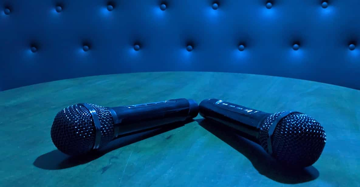 Karaoke in the City Center of Chartres for 2-6 People - Karaoke Offerings