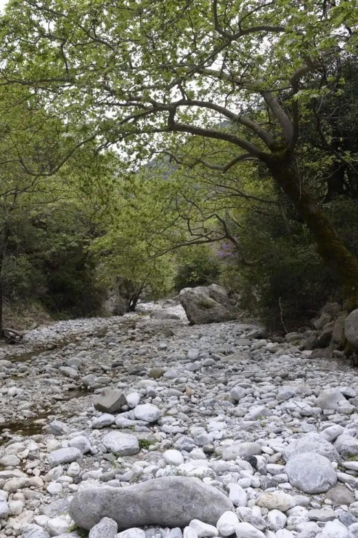 Kardamili : Hiking in Ridomo Gorge - Hiking Details