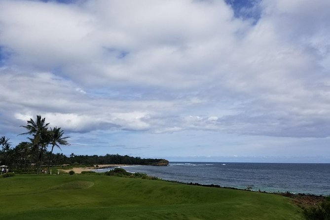 Kauai Island - Private Tour : Waimea Canyon and Southside - Accessibility Features