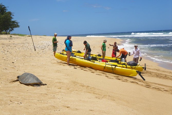 Kauai Sea Kayaking 10 Mile Tour - Na Pali Iki (Polihale to Milolii) - Itinerary Details