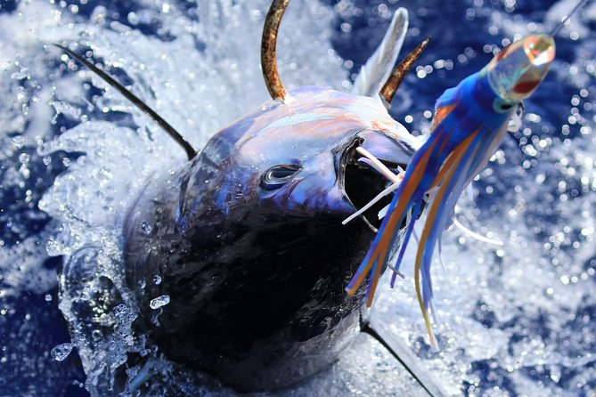 Kauais #1 Sport Fishing Adventure Company - Inclusions and Amenities
