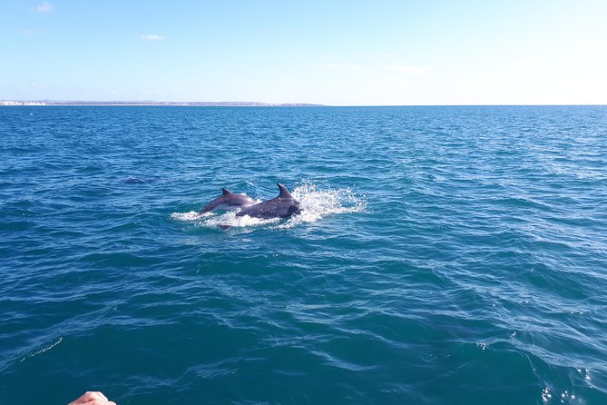 Kayak Algarve Tour BENAGIL by Diamond Tours - Customer Reviews and Feedback