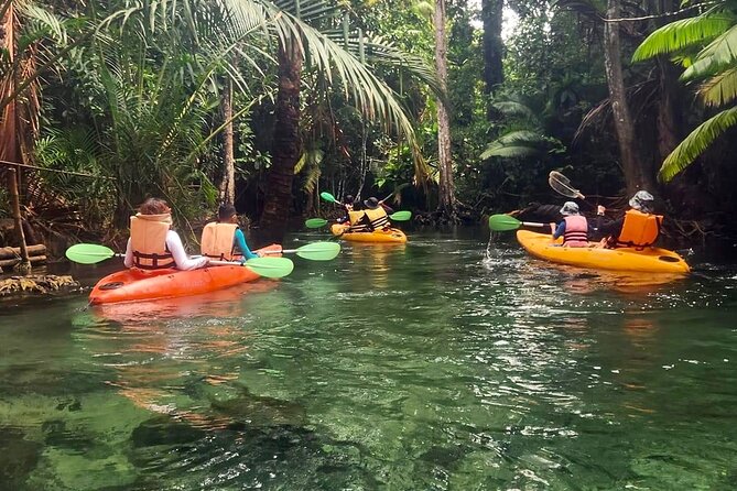 Kayak at Klongnamsai (Klong Root) - Pickup Locations